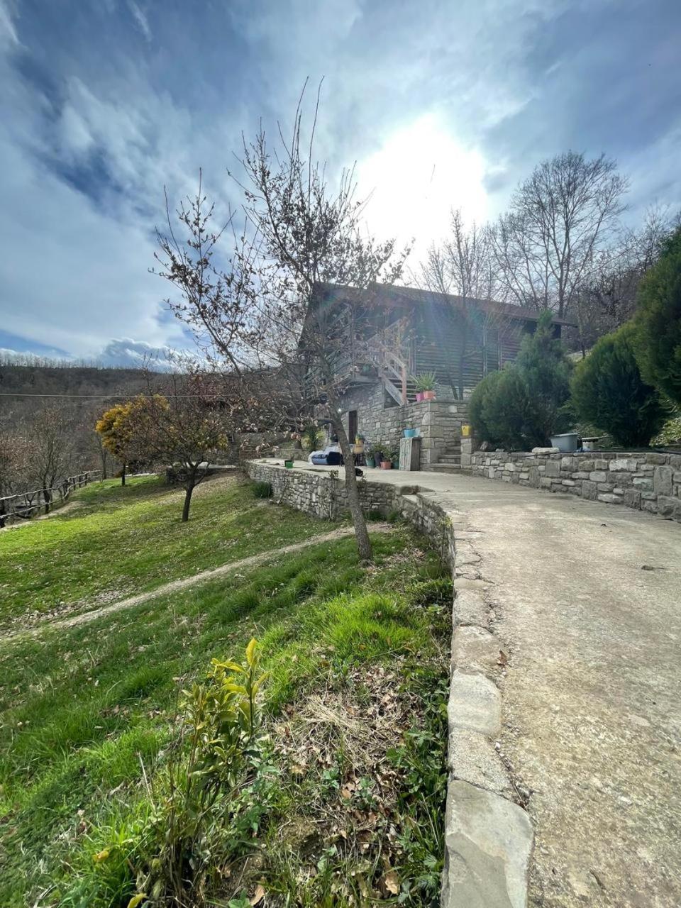 Origjina Farm Βίλα Πρεμετή Εξωτερικό φωτογραφία